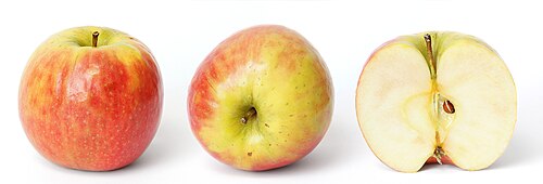 Apple plant